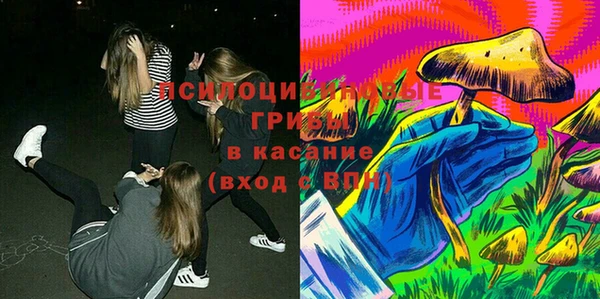 шишки Абдулино