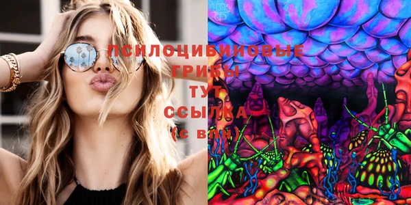 spice Абаза