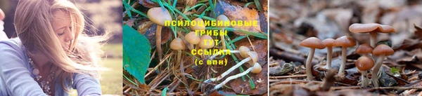 хмурый Абинск