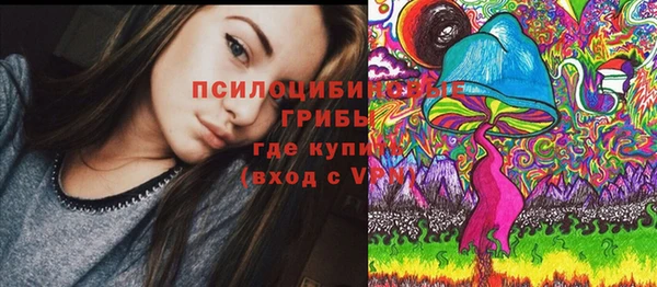 spice Абаза