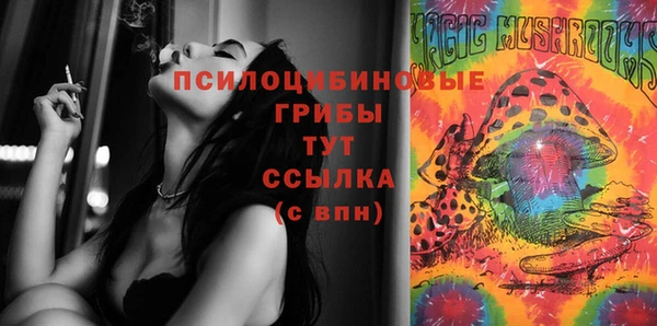 хмурый Абинск