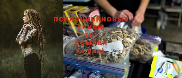 хмурый Абинск