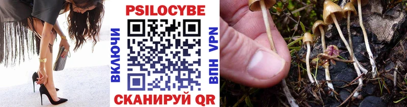 Псилоцибиновые грибы мухоморы Приволжск